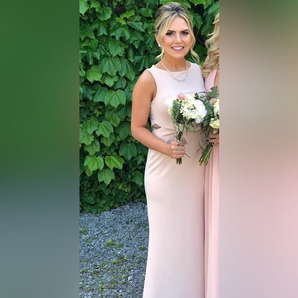 Lulus Rose Dress - Picture 1 of 4